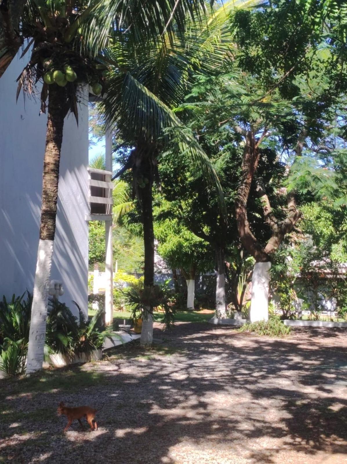 Lm Suites Búzios Exterior foto